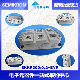 SKKR300/0.2-BVR 功率西門(mén)康可控硅模塊,現(xiàn)貨直銷(xiāo)!