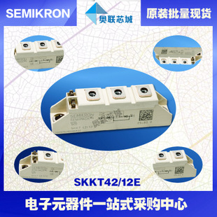 SKKT41/16E 功率西門康可控硅模塊,現(xiàn)貨直銷!