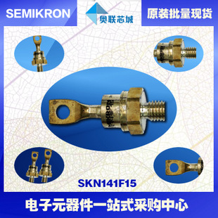 全新原裝功率平板晶閘管模塊SKN141F17 特價熱賣!