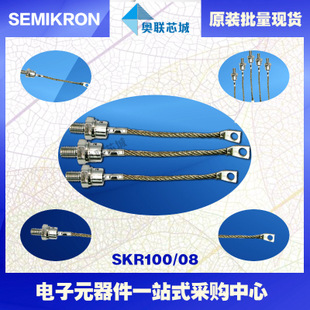 全新原裝功率平板晶閘管模塊SKR100/16 特價(jià)熱賣！