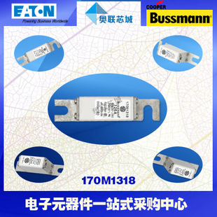 特價(jià)，原裝BUSSMANN快速熔斷器170M1314現(xiàn)貨,熱賣!