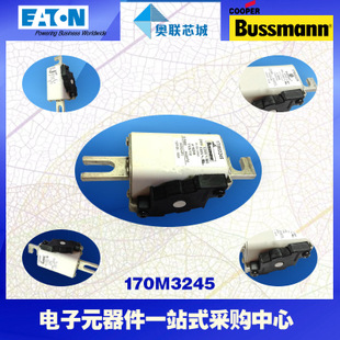 特價(jià)，原裝BUSSMANN快速熔斷器170M3198現(xiàn)貨,熱賣!
