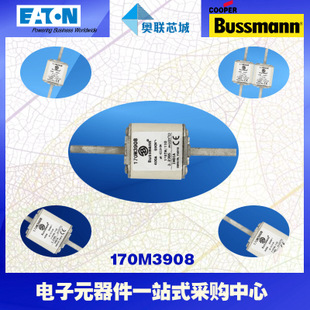 特價(jià)，原裝BUSSMANN快速熔斷器170M3966現(xiàn)貨,熱賣!