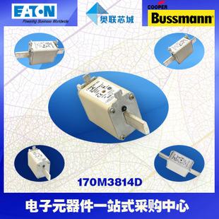 特價(jià)，原裝BUSSMANN快速熔斷器170M3974現(xiàn)貨,熱賣!