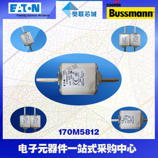 特價，原裝BUSSMANN快速熔斷器170M5972現(xiàn)貨,熱賣!