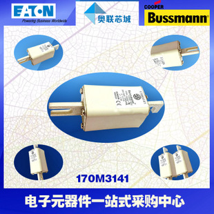 特價(jià)，原裝BUSSMANN快速熔斷器170M3066現(xiàn)貨,熱賣!