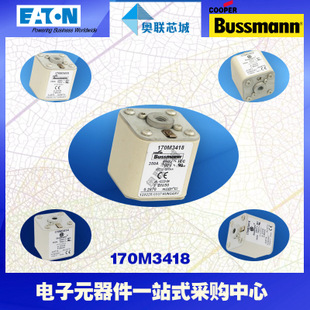 特價，原裝BUSSMANN快速熔斷器170M3218現(xiàn)貨,熱賣!