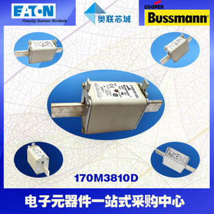 特價，原裝BUSSMANN快速熔斷器170M3810現(xiàn)貨,熱賣!