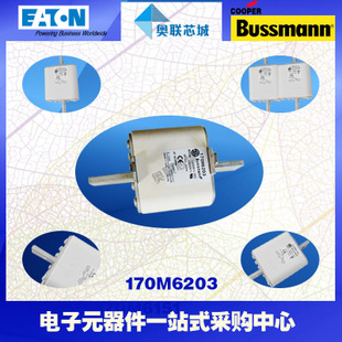 特價(jià)，原裝BUSSMANN快速熔斷器170M6204現(xiàn)貨,熱賣!