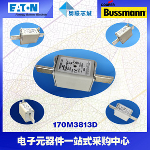 特價(jià)，原裝BUSSMANN快速熔斷器170M3973現(xiàn)貨,熱賣(mài)!