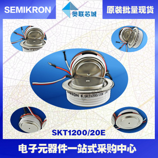 全新原裝功率平板晶閘管模塊SKT130/16E 特價(jià)熱賣！