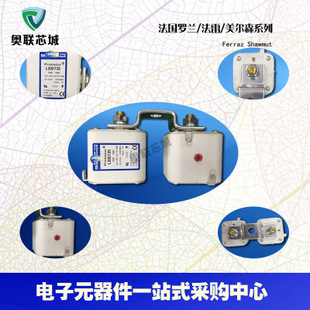原裝法雷Ferraz/羅蘭熔斷器6,9gRB000BS88P/050 C330121特價