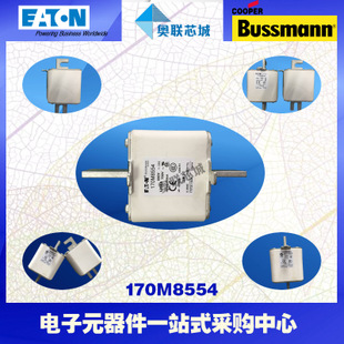 特價，原裝BUSSMANN快速熔斷器170M8541現(xiàn)貨,熱賣!