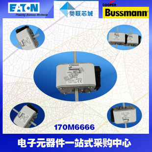 特價(jià)，原裝BUSSMANN快速熔斷器170M6663現(xiàn)貨,熱賣!